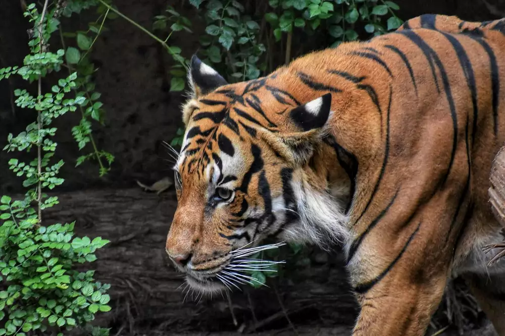 Zoo Olomouc