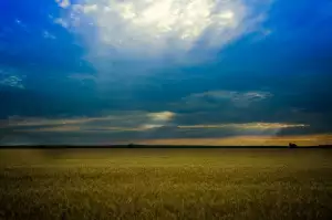 Rafťáci