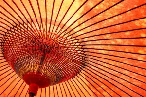 Only Fans Co To Je